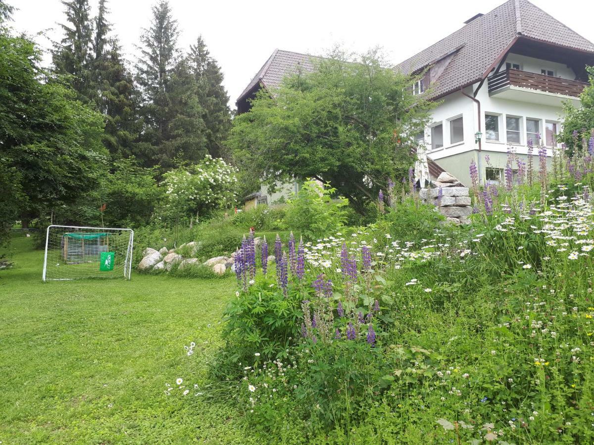 B & B Der Waldvogel Herrischried 외부 사진
